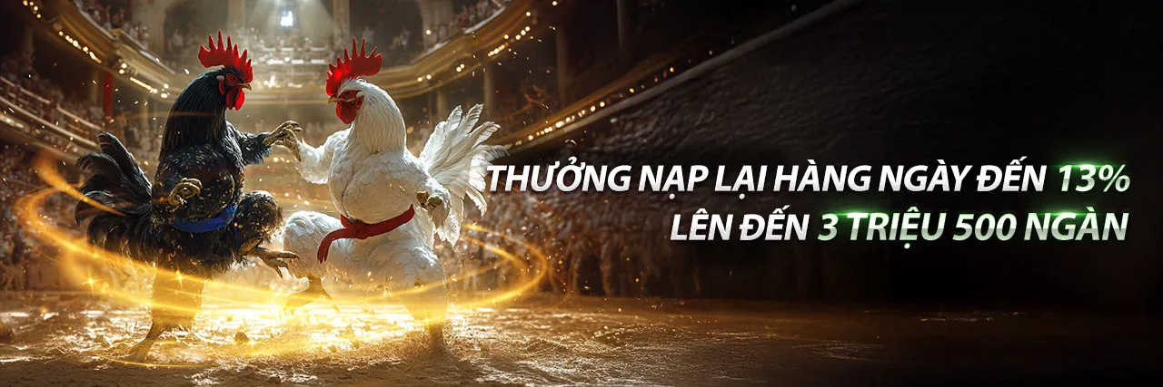 Đá Gà Trực Tiếp Hôm Nay C1 C2 C3 C4